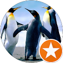 Hilda S. profile picture