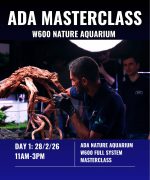ADA Masterclass Workshop – Day 1 Ticket