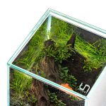 UNS Cube 20C Lid - Image 2