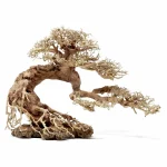 Bonsai Tree XXS 15x10x8cm