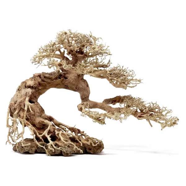 Bonsai Tree XXS 15x10x8cm