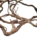 Elder Root Mix250 - Image 3