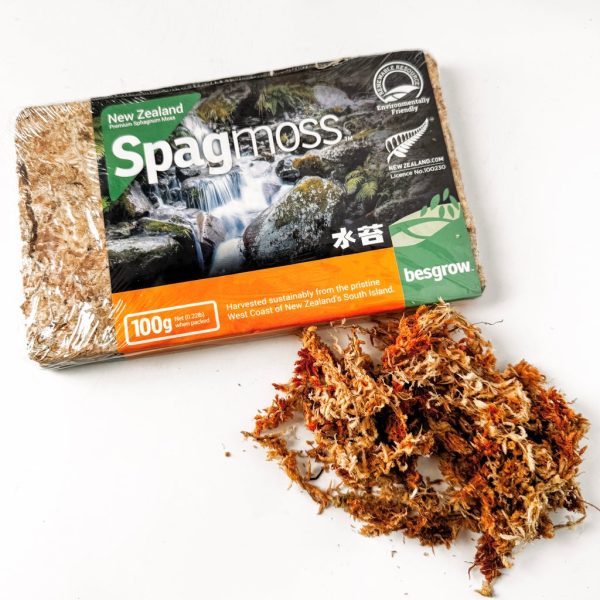 Sphagnum moss compressed brick 100g
