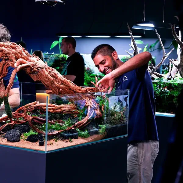 Hiten Goolab live scaping