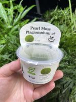 Horizon Labs Pearl Moss